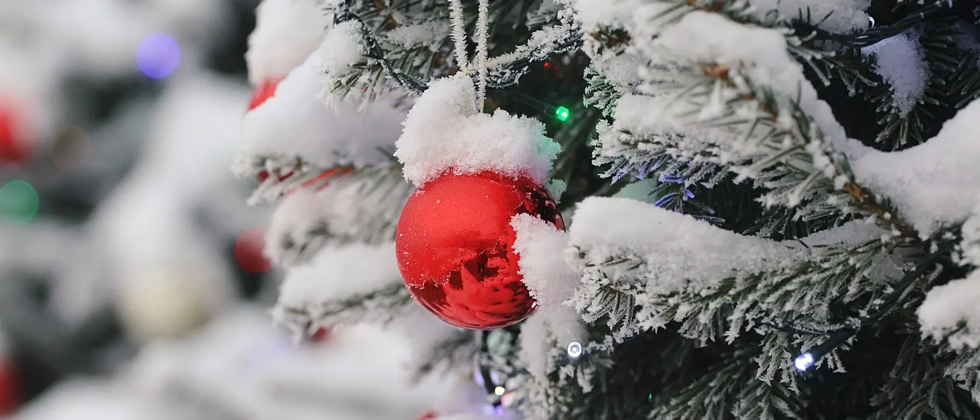 Weihnachtskugel am Baum im Fokus