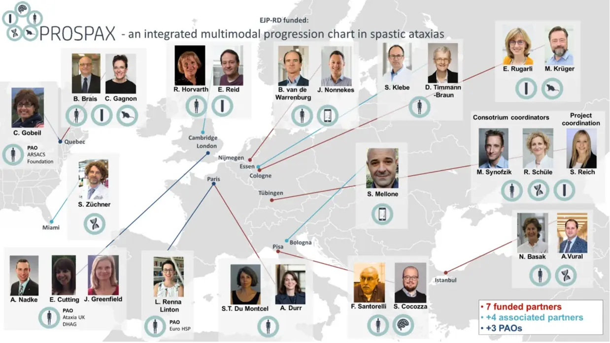 Übersichtskarte des PROSPAX-Konsortiums, das sich mit spastischen Ataxien befasst. Auf der Karte sind verschiedene Partnerstandorte in Nordamerika und Europa verzeichnet, die durch Linien miteinander verbunden sind. An den Standorten sind Porträtbilder der beteiligten Wissenschaftler sowie deren Funktionen innerhalb des Projekts zu sehen. Es gibt drei Legendenfarben: rot für die 7 geförderten Partner, blau für die 4 assoziierten Partner und lila für die 3 Patientenorganisationen (PAOs).